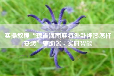 实操教程“琼雀海南麻将外卦神器怎样安装”辅助器 - 实时智能