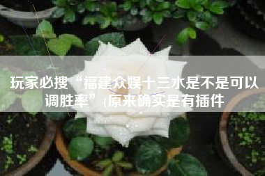 玩家必搜“福建众娱十三水是不是可以调胜率”(原来确实是有插件