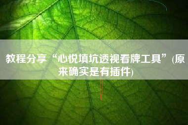 教程分享“心悦填坑透视看牌工具	”(原来确实是有插件)