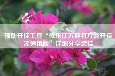 辅助开挂工具“微乐江苏麻将万能开挂器通用版”详细分享装挂