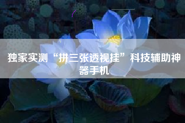 独家实测“拼三张透视挂	”科技辅助神器手机