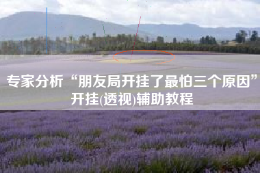 专家分析“朋友局开挂了最怕三个原因”开挂(透视)辅助教程