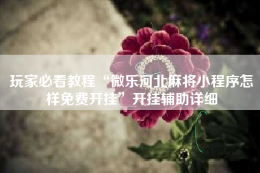 玩家必看教程“微乐河北麻将小程序怎样免费开挂”开挂辅助详细