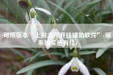 可用版本“上游大厅开挂辅助软件”(原来确实是有挂)
