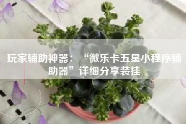 玩家辅助神器：“微乐卡五星小程序辅助器”详细分享装挂