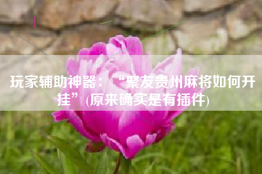 玩家辅助神器：“聚友贵州麻将如何开挂”(原来确实是有插件)