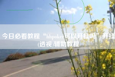 今日必看教程“hhpoker可以开挂吗”开挂(透视)辅助教程