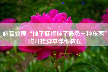 必看教程“柚子麻将挂了最忌三种东西”附开挂脚本详细教程