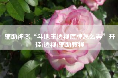 辅助神器“斗地主透视底牌怎么弄”开挂(透视)辅助教程