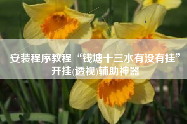 安装程序教程“钱塘十三水有没有挂”开挂(透视)辅助神器