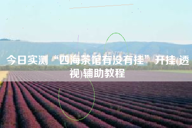 今日实测“四海茶馆有没有挂	”开挂(透视)辅助教程