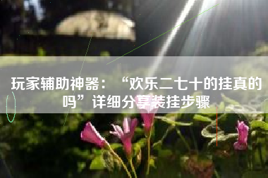 玩家辅助神器：“欢乐二七十的挂真的吗”详细分享装挂步骤