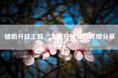 辅助开挂工具“大贰开挂器	”详细分享装挂