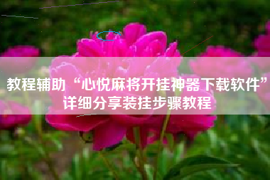 教程辅助“心悦麻将开挂神器下载软件”详细分享装挂步骤教程