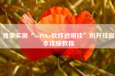 独家实测“wePOke软件透明挂	”附开挂脚本详细教程