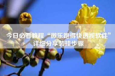 今日必看教程“微乐跑得快透视软件”详细分享装挂步骤