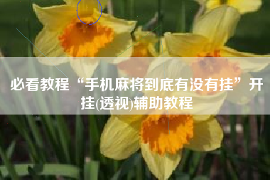 必看教程“手机麻将到底有没有挂”开挂(透视)辅助教程
