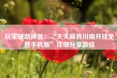 玩家辅助神器：“天天麻将川南开挂免费手机版”详细分享装挂