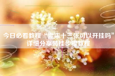 今日必看教程“壹柒十三张可以开挂吗”详细分享装挂步骤教程