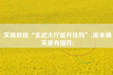 实操教程“玄武大厅能开挂吗	”(原来确实是有插件)