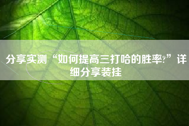 分享实测“如何提高三打哈的胜率?”详细分享装挂