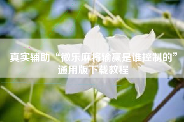 真实辅助“微乐麻将输赢是谁控制的”通用版下载教程