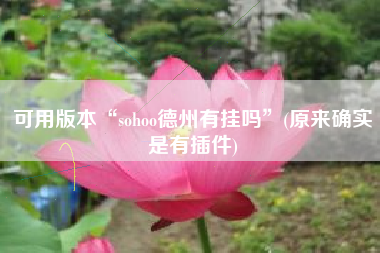 可用版本“sohoo德州有挂吗	”(原来确实是有插件)