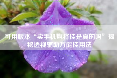 可用版本“卖手机麻将挂是真的吗”揭秘透视辅助万能挂用法