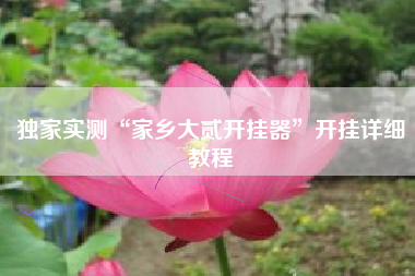 独家实测“家乡大贰开挂器”开挂详细教程