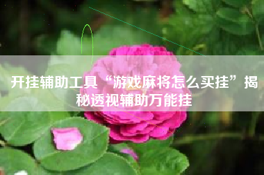 开挂辅助工具“游戏麻将怎么买挂”揭秘透视辅助万能挂