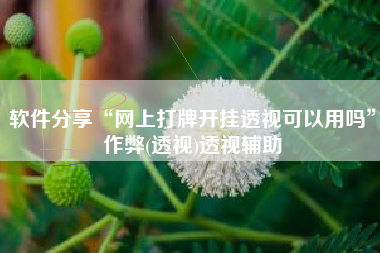 软件分享“网上打牌开挂透视可以用吗”作弊(透视)透视辅助