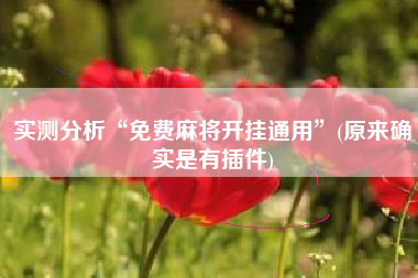 实测分析“免费麻将开挂通用	”(原来确实是有插件)