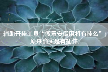 辅助开挂工具“微乐安徽麻将有挂么	”(原来确实是有插件)