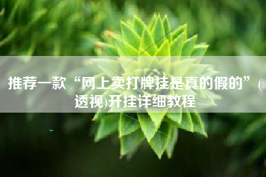 推荐一款“网上卖打牌挂是真的假的”(透视)开挂详细教程