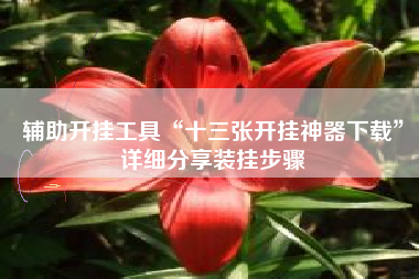 辅助开挂工具“十三张开挂神器下载”详细分享装挂步骤