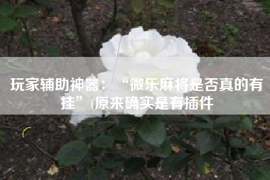 玩家辅助神器：“微乐麻将是否真的有挂”(原来确实是有插件