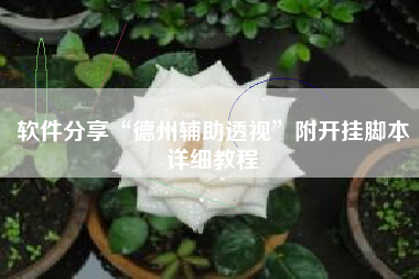 软件分享“德州辅助透视”附开挂脚本详细教程