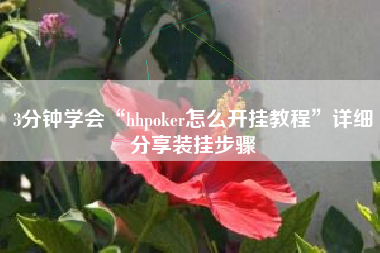 3分钟学会“hhpoker怎么开挂教程”详细分享装挂步骤