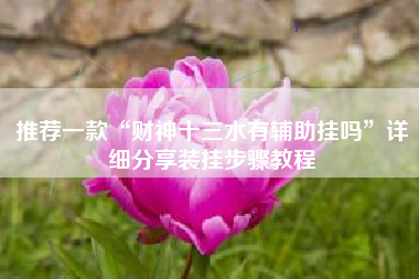 推荐一款“财神十三水有辅助挂吗”详细分享装挂步骤教程