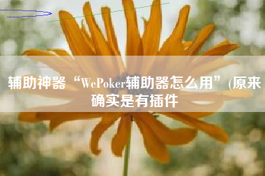 辅助神器“WePoker辅助器怎么用	”(原来确实是有插件