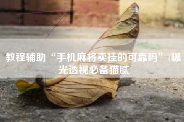 教程辅助“手机麻将卖挂的可靠吗	”(曝光透视必备猫腻