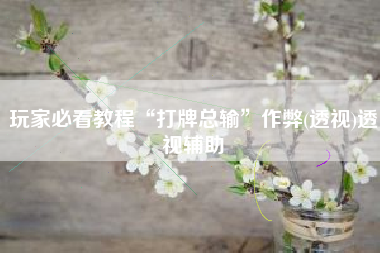 玩家必看教程“打牌总输	”作弊(透视)透视辅助