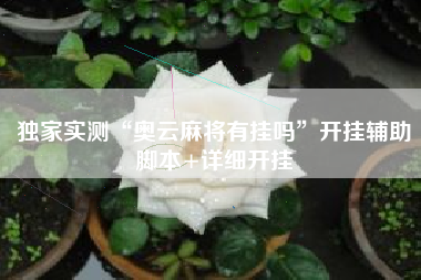 独家实测“奥云麻将有挂吗”开挂辅助脚本+详细开挂