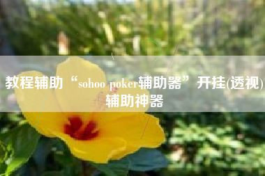 教程辅助“sohoo poker辅助器”开挂(透视)辅助神器