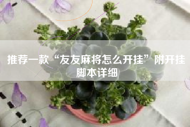 推荐一款“友友麻将怎么开挂	”附开挂脚本详细