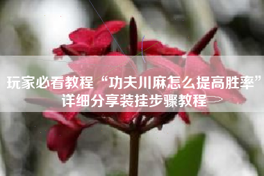 玩家必看教程“功夫川麻怎么提高胜率”详细分享装挂步骤教程