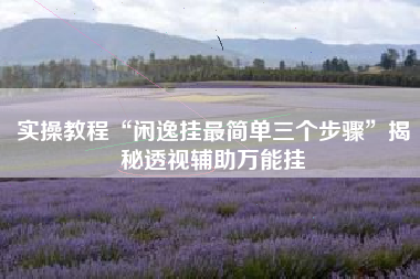 实操教程“闲逸挂最简单三个步骤”揭秘透视辅助万能挂