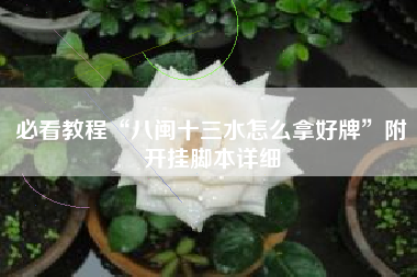 必看教程“八闽十三水怎么拿好牌”附开挂脚本详细