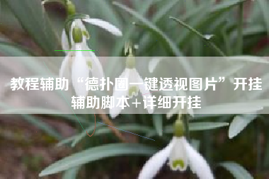 教程辅助“德扑圈一键透视图片	”开挂辅助脚本+详细开挂