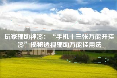 玩家辅助神器：“手机十三张万能开挂器	”揭秘透视辅助万能挂用法